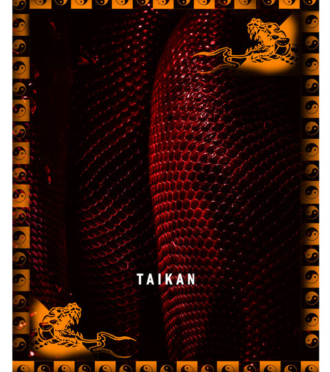 TAIKAN By Booyah Patrol
