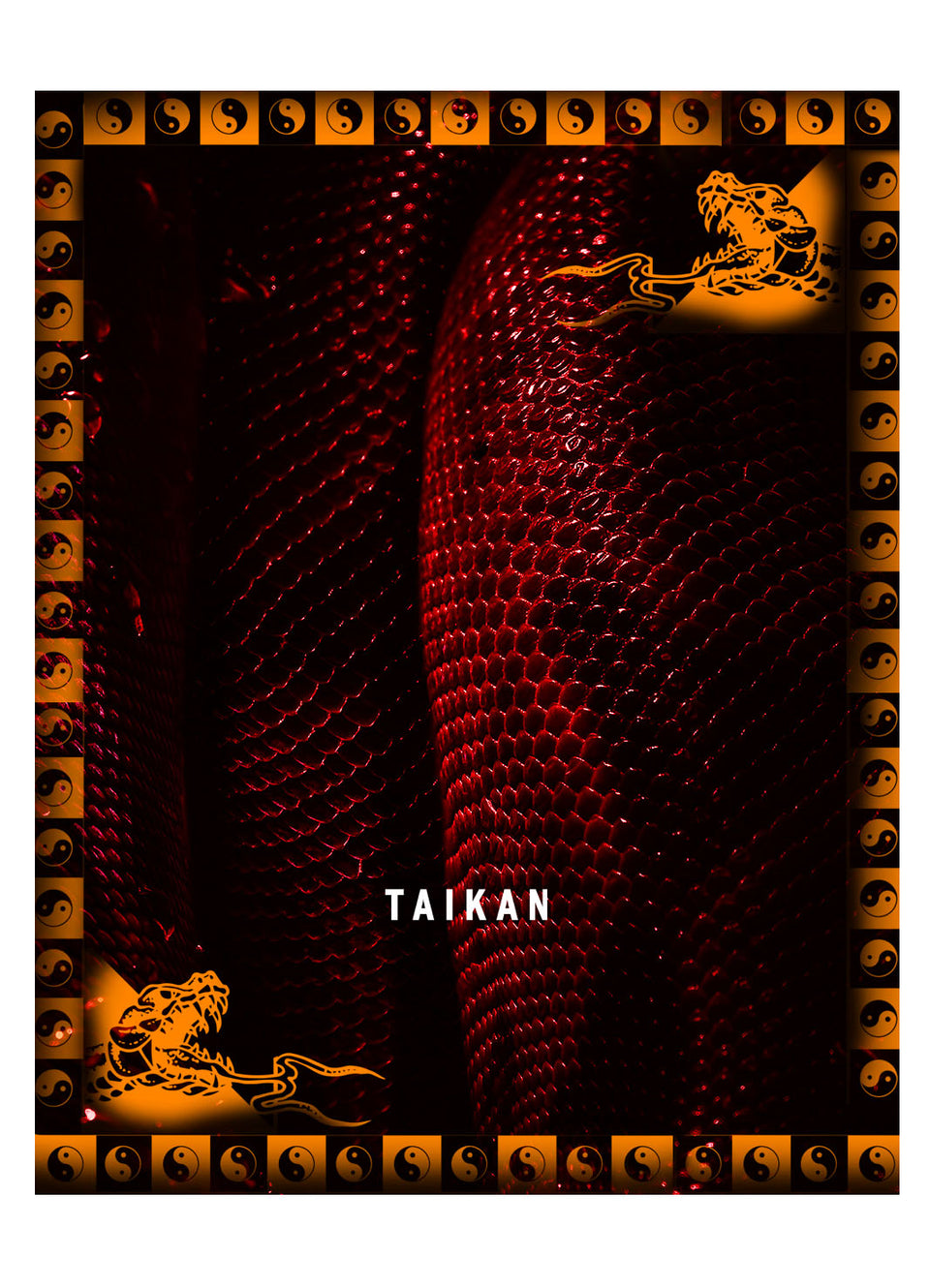 TAIKAN By BOOYAH PATROL